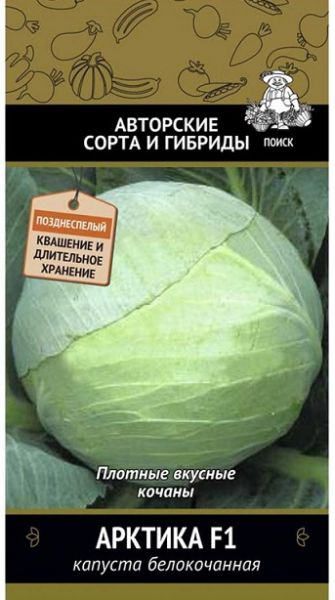 Капуста белокочанная АРКТИКА ЦВ Поиск