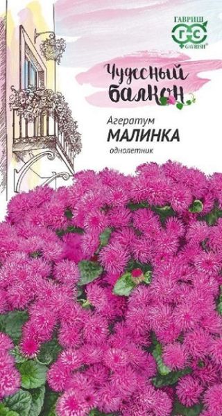 Однолетник Агератум Малинка Гавриш