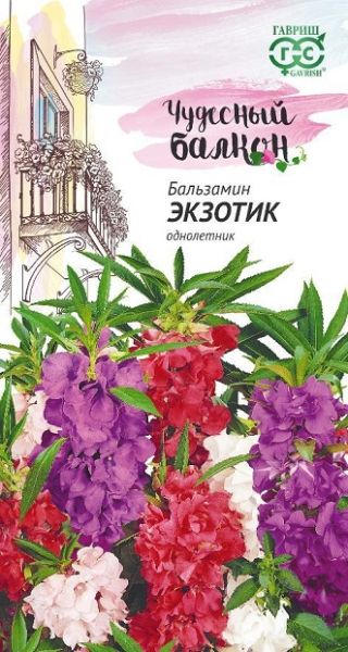 Однолетник Бальзамин Экзотик карлик Чудесный балкон Гавриш