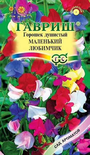 Однолетник Душистый горошек Маленький любимчик Сад ароматов Гавриш