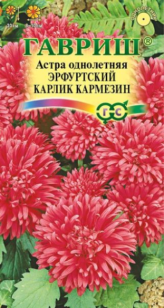 Однолетник Астра Эрфуртский карлик Кармезин красная Гавриш