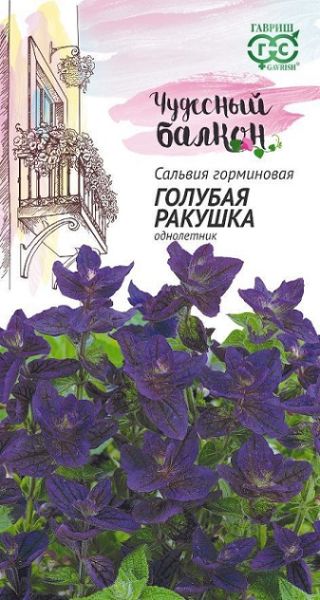 Однолетник Сальвия Голубая ракушка Чудесный балкон Гавриш