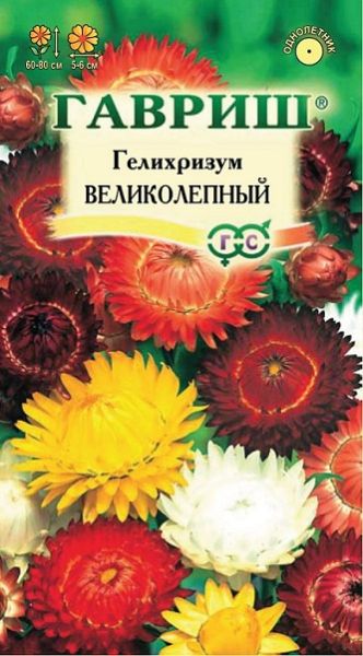 Однолетник Гелихризум Великолепный Гавриш