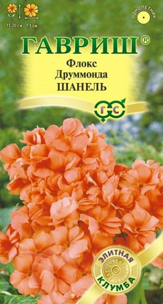 Однолетник Флокс Друммонда Шанель Элитная клумба Гавриш