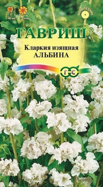 Однолетник Кларкия Альбина Гавриш