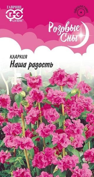 Однолетник Кларкия Наша радость ноготковая Розовые сны Гавриш