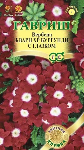 Однолетник Вербена Кварц ХР бургунди с глазком Элитная клумба Гавриш