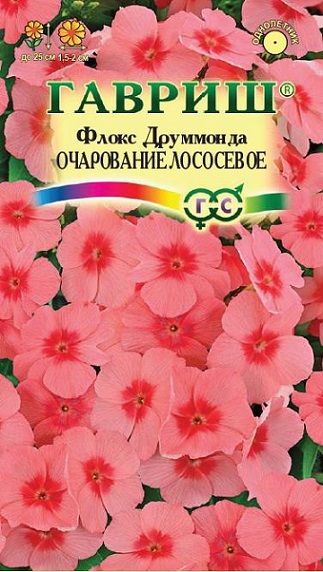 Однолетник Флокс Очарование лососевое, Друммонда Гавриш