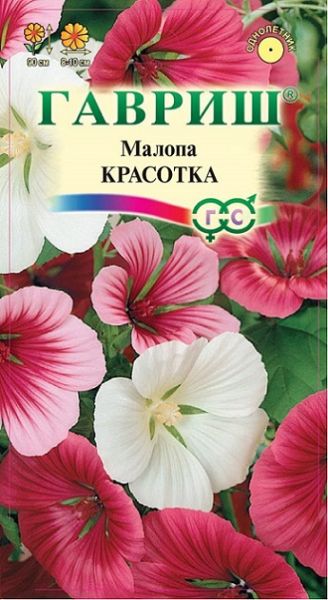 Однолетник Малопа Красотка Гавриш