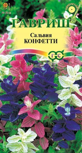 Однолетник Сальвия Конфетти Гавриш