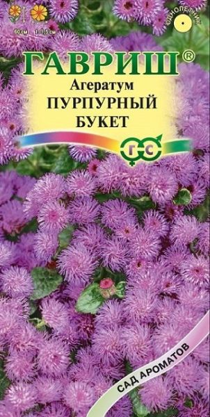 Однолетник Агератум Пурпурный букет Сад ароматов Гавриш