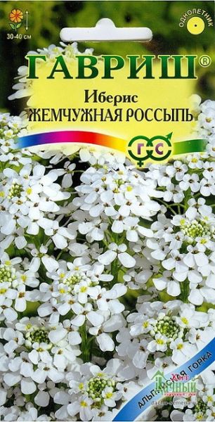 Однолетник Иберис Жемчужная россыпь зонтичный Альпийская горка Гавриш