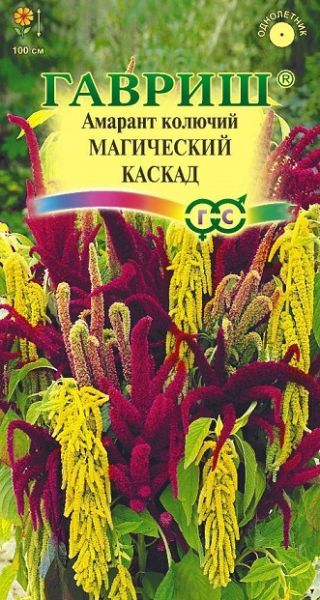 Однолетник Амарант Магический каскад Гавриш