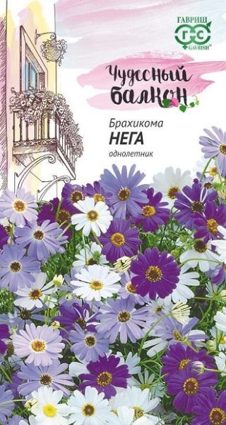 Однолетник Брахикома Нега Гавриш