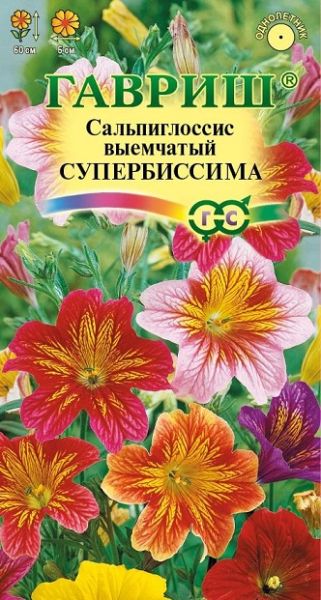 Однолетник Сальпиглоссис Супербиссима Гавриш
