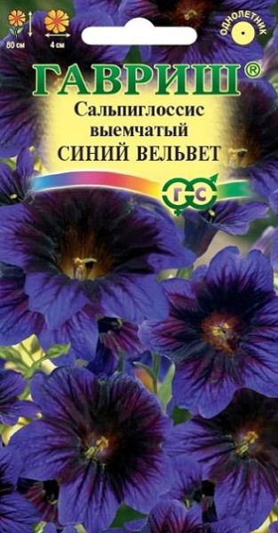Однолетник Сальпиглоссис Синий вельвет Гавриш