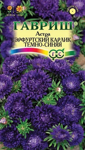 Однолетник Астра Эрфуртский карлик темно-синяя Гавриш