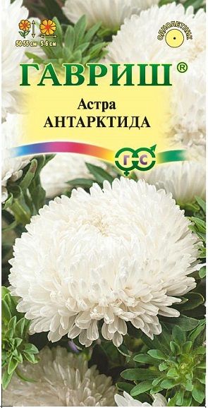 Однолетник Астра Антарктида белая пионовидная Гавриш
