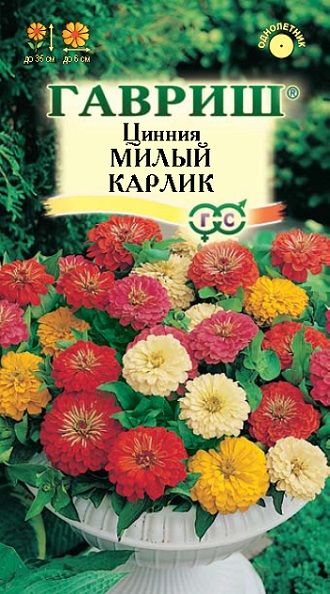 Однолетник Цинния Милый карлик смесь Гавриш