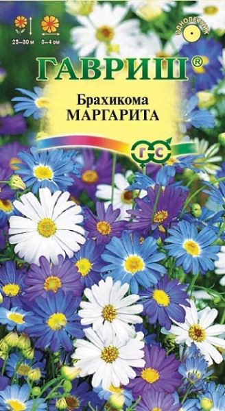 Однолетник Брахикома Маргарита Гавриш