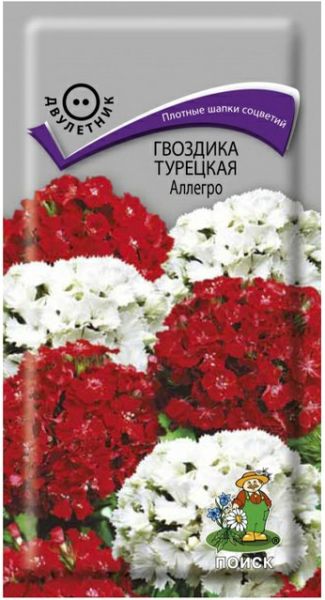 Двулетник Гвоздика (бородатая) Турецкая Аллегро ЦВ Поиск