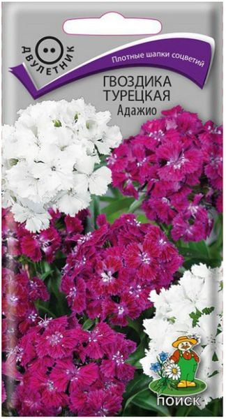 Двулетник Гвоздика (бородатая) Турецкая Адажио ЦВ Поиск