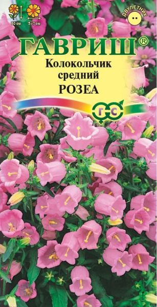 Двулетник Колокольчик Розеа Гавриш