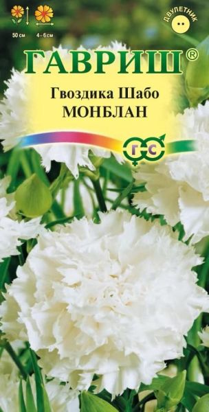 Двулетник Гвоздика Шабо Монблан Гавриш