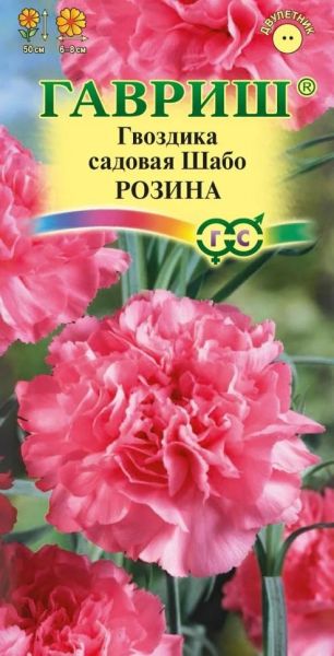 Двулетник Гвоздика Шабо Розина Гавриш