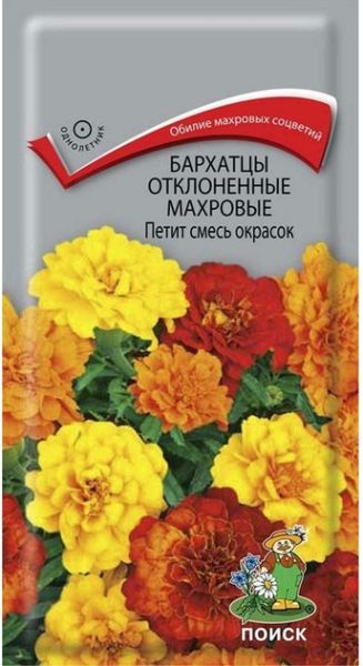 Однолетник Бархатцы откл. махр. Петит Смесь окрасок ЦВ Поиск