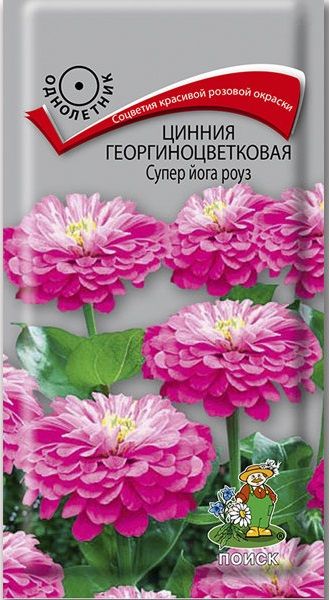 Однолетник Цинния георгиноцветковая Супер Йога Роуз ЦВ Поиск