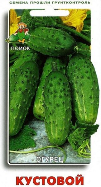 Огурец КУСТОВОЙ Поиск