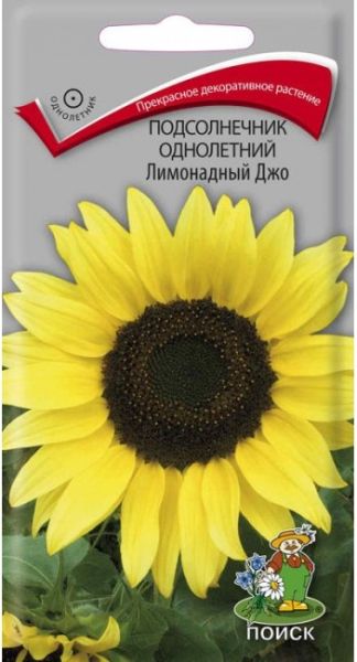 Однолетник Подсолнечник Лимонадный Джо ЦВ Поиск