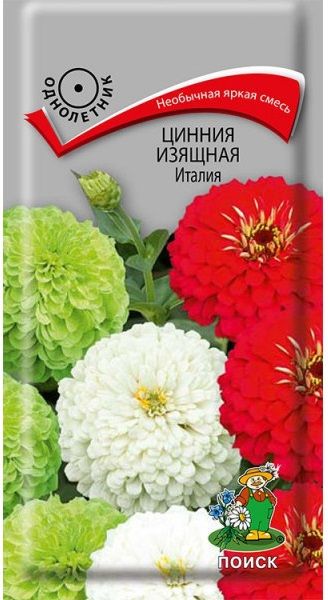 Однолетник Цинния изящная Италия ЦВ Поиск