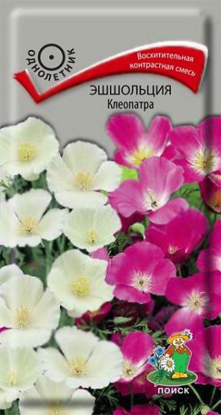 Однолетник Эшшольция Клеопатра ЦВ Поиск