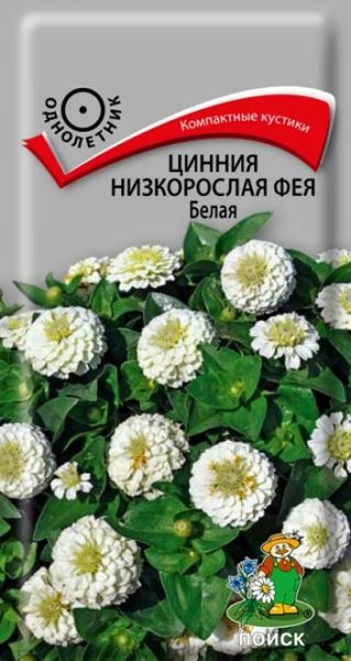 Однолетник Цинния низкорослая Фея Белая ЦВ Поиск