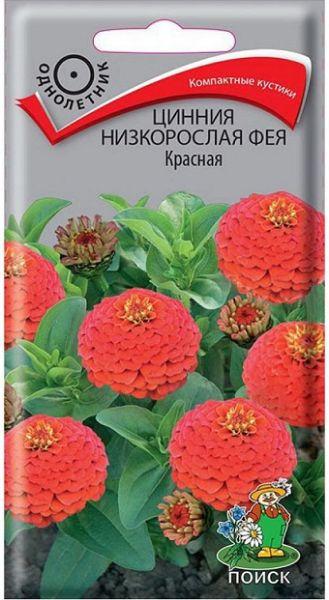 Однолетник Цинния низкорослая Фея Красная ЦВ Поиск