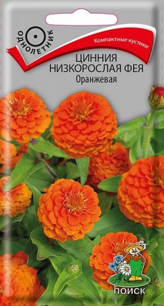 Однолетник Цинния низкорослая Фея Оранжевая ЦВ Поиск