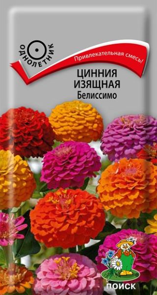 Однолетник Цинния изящная Белиссимо ЦВ Поиск