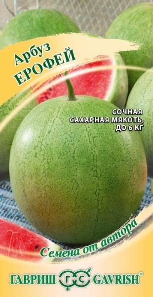 Арбуз ЕРОФЕЙ автор Гавриш