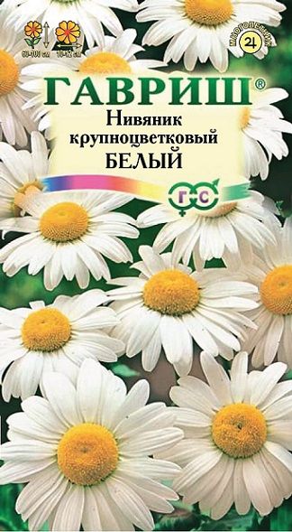 Многолетник Нивяник Крупноцветковый белый Гавриш