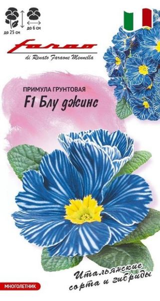 Многолетник Примула Блу Джинс F1 Фарао Гавриш