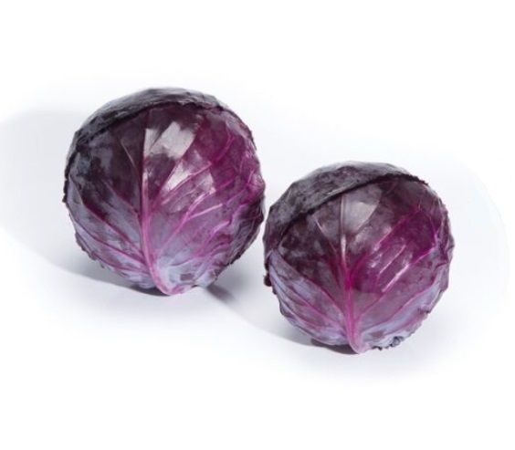 Капуста краснокочанная РУБИ ПЕРФЕКШН F1 / RUBY PERFECTION F1 Takii Seeds