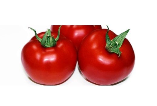 Томат ДАНТИНА F1 / DANTINA F1 Syngenta