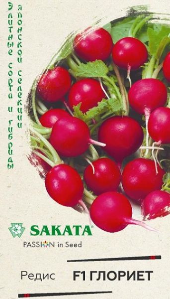 Редис ГЛОРИЕТ Sakata Гавриш