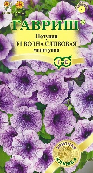 Однолетник Петуния Волна сливовая суперкаскадная Гавриш