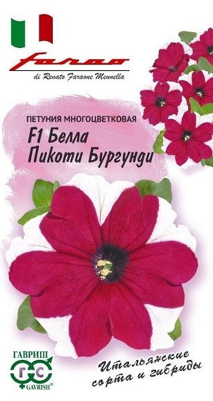 Однолетник Петуния Белла Бургунди Пикоти Фарао Гавриш