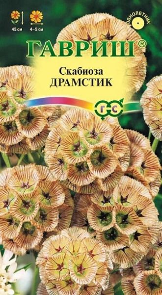 Однолетник Скабиоза звездчатая Драмстик Гавриш