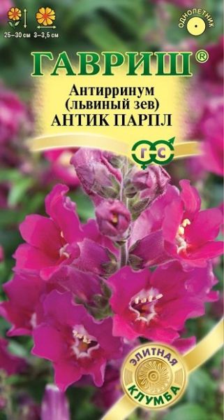 Однолетник Львиный зев Антик парпл Гавриш