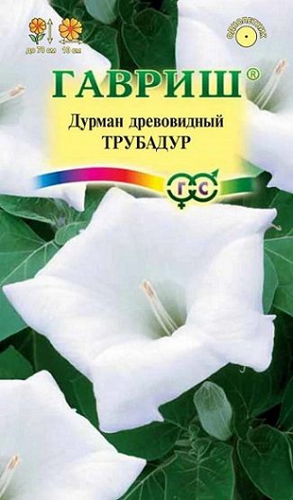 Однолетник Дурман Трубадур Гавриш